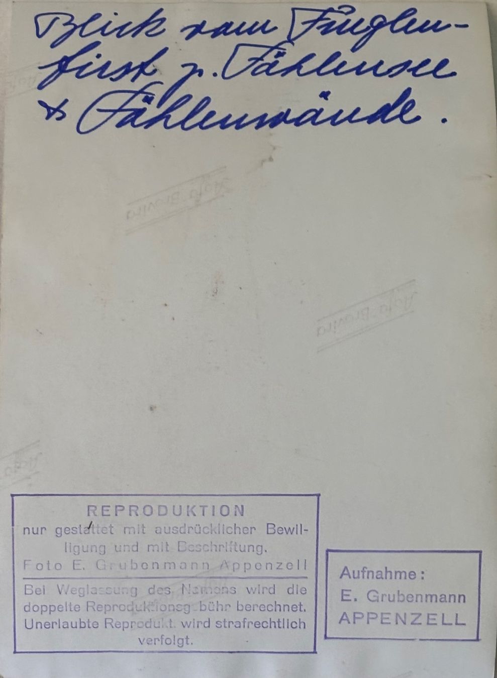 Cartoline postali: Foto E. Grubenmann, Appenzell, Bergwelt, 14 x 10 cm – Usato da Frauenfeld venduto da Merk52 1