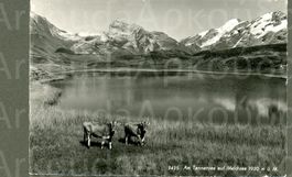AK sw Tannensee OW ob Melchsee ≈ 1950