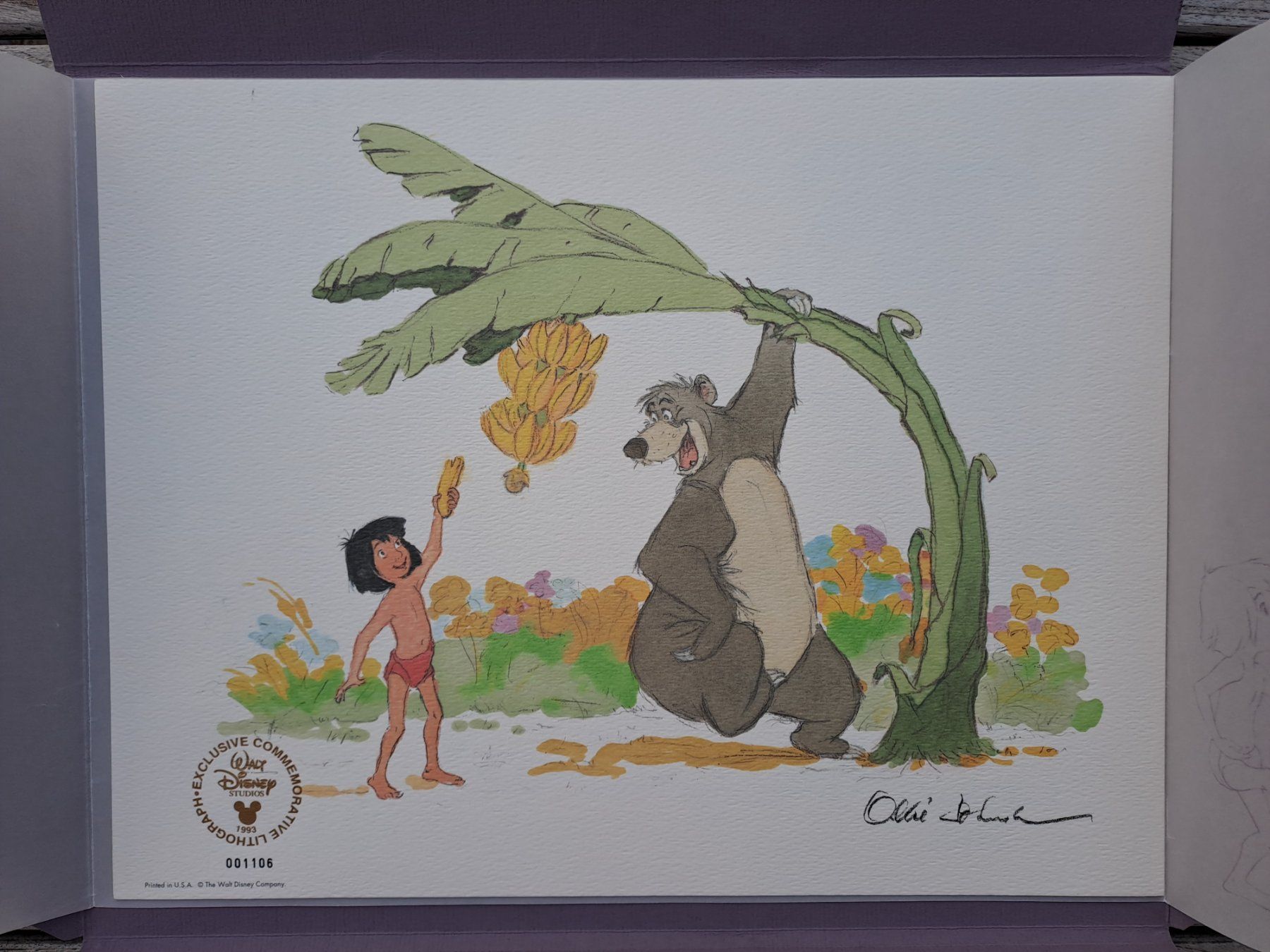 Tutti i VHS: Das Dschungelbuch – Usato da Niederbipp venduto da Brocki-Bude4704 3