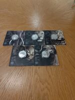Big Five Silber Serie 1 Komplettsatz