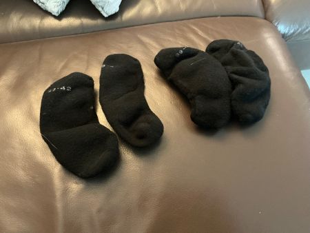 Schwarze Scholl Sneaker Socken, Gr. 39-42,