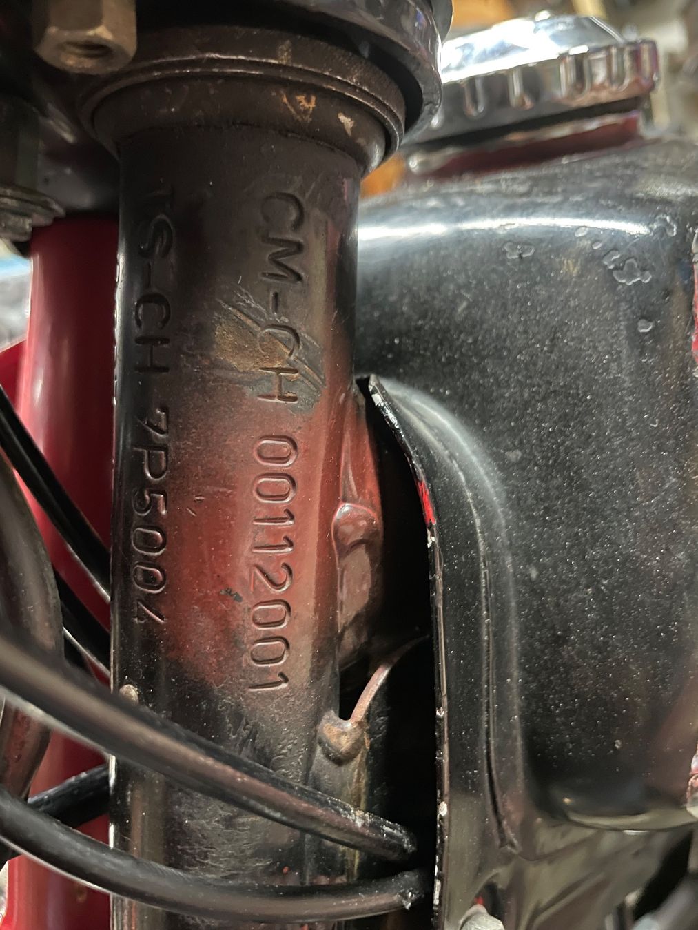 Pony Ciclomotori: Mofa Sachs 503 Pony GTX Kat – Usato da Siebnen venduto da stetzi 5