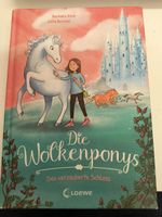 Die Wolkenponys: Das verzauberte Schloss Kinderbuch #kkb