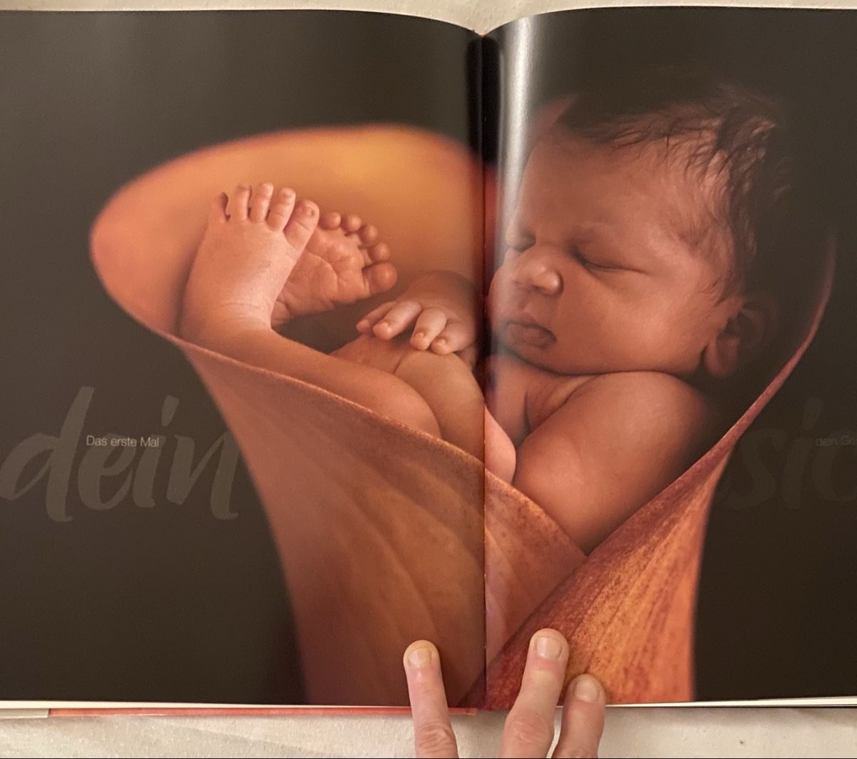 Libri: Anne Geddes Set – Nuovo e nell'imballaggio originale da Langenthal venduto da flower101 7