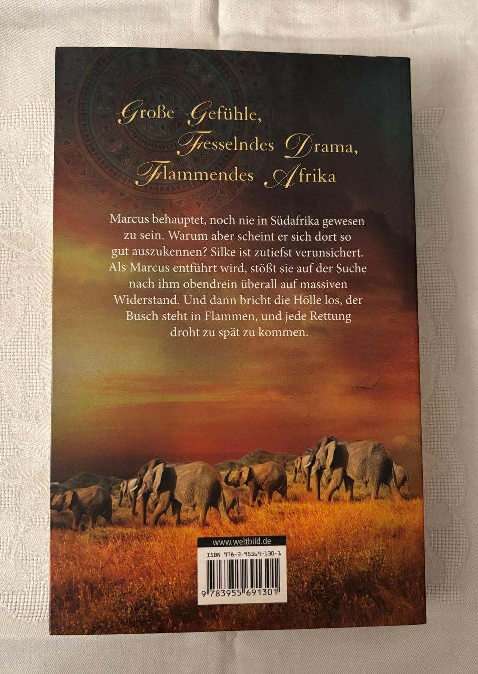 Libri: Nachtsafari von Stefanie Gercke – Usato da Interlaken venduto da Poeschtli 1