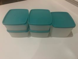 Tupperware Gefrierbehälter Set 5-teilig