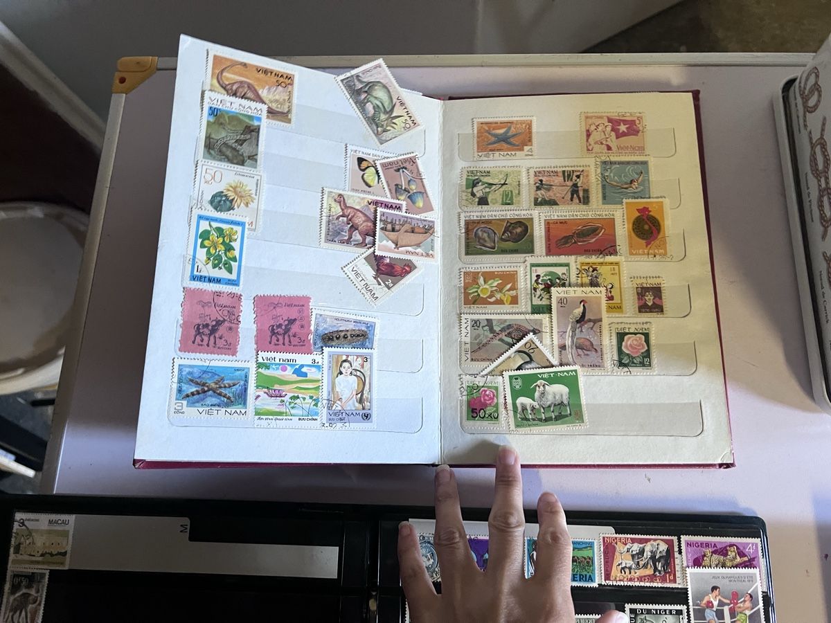 Tutti i francobolli: Briefmarken Sammlung Alben (3) – Usato da Glattfelden venduto da maa_qcj8 5