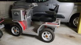 Poni Elektrofahrzeug voll funktionsfähig