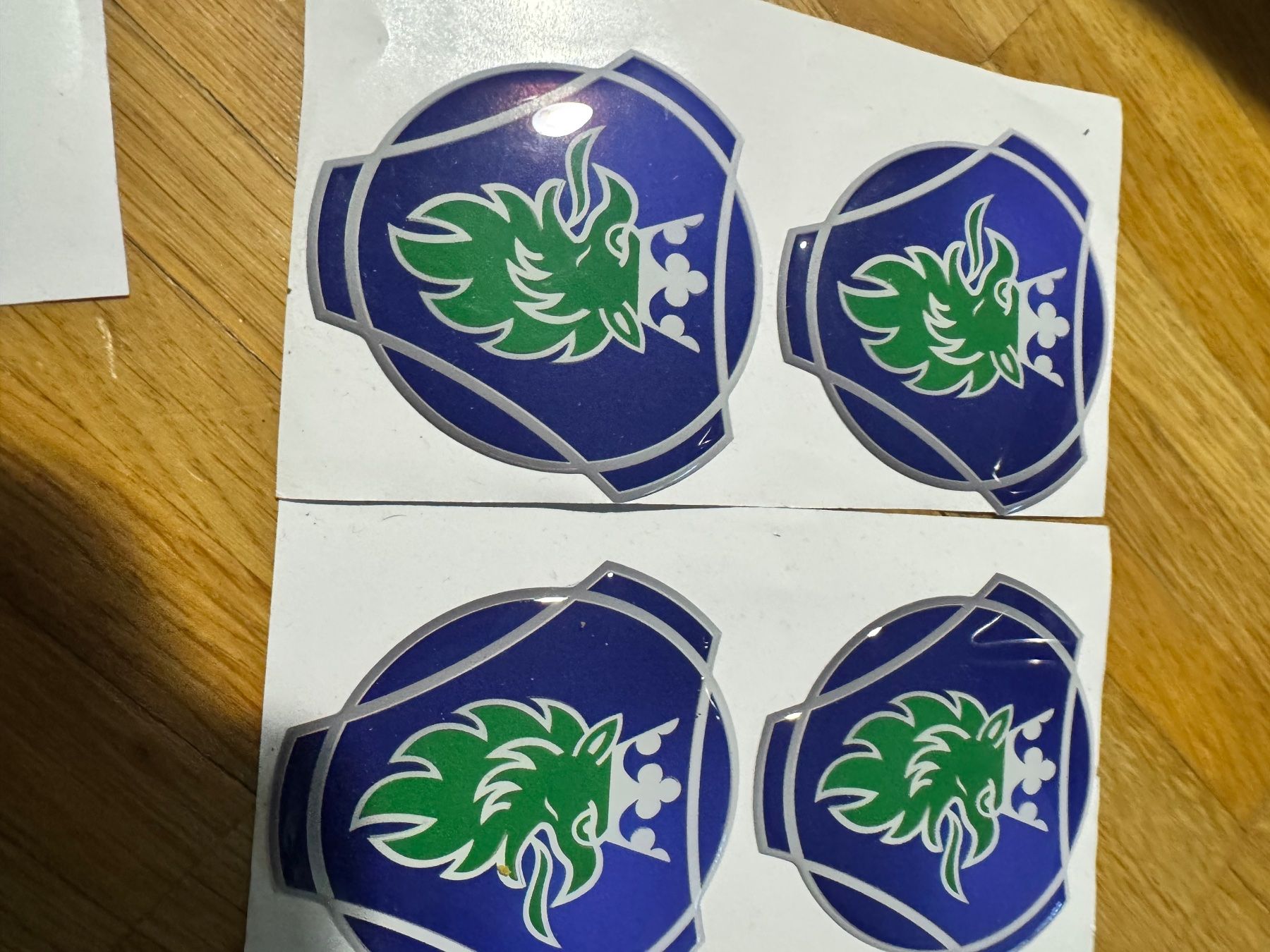 Sticker: Kleber 3D Scania Grün – Nuovo e nell'imballaggio originale da Dielsdorf venduto da autcars