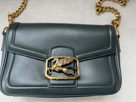 Etro bag Pegaso green