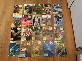 Panda Club Zeitschriften Sammlung guter Zustand