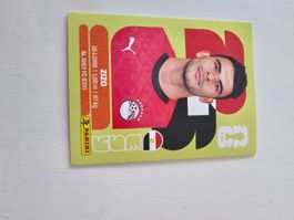 EGY 11