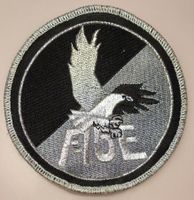 F-15E Aufnäher / Patch mit Adler - seltenes Sammlerstück!