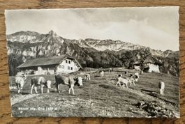 Hörnlialp