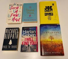 6 books (thrillers, novels) / Romane, books in English