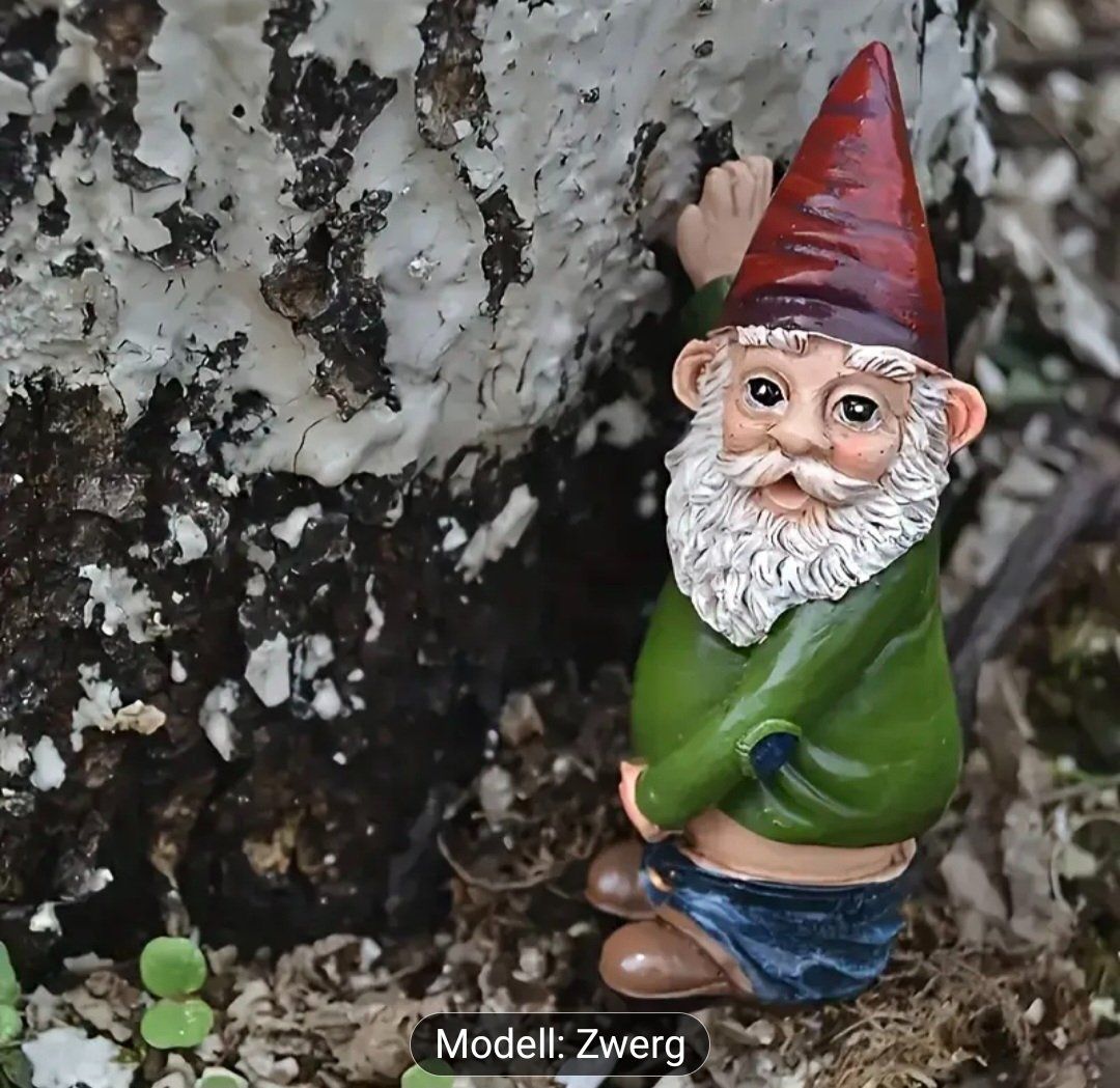 Figurines: Gartenzwerg (Artnr29) – Neuf avec emballage d'origine à Baden par rocket85