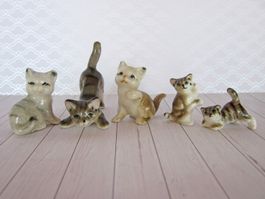 Katzen Porzellan "Tigerli" 5 Stück