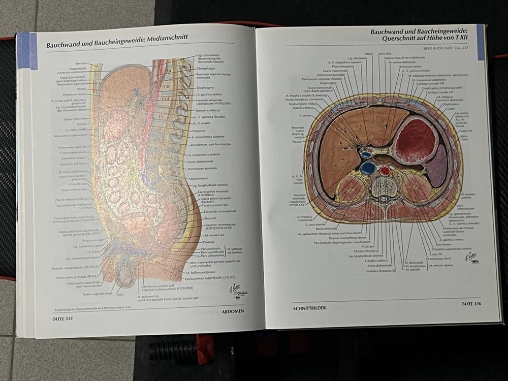 Anatomie Atlas von Netter (Gebraucht) in Frauenkappelen für CHF 45 ...