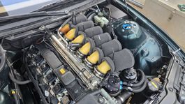 ITB's BMW E46 M3 3.2L 6 farfalle per M52/M54