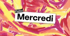 Paléo Festival 2026 - 1x billet mercredi (22.07) - Adulte