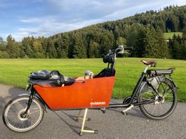 Bakfiets Cargo Ebike