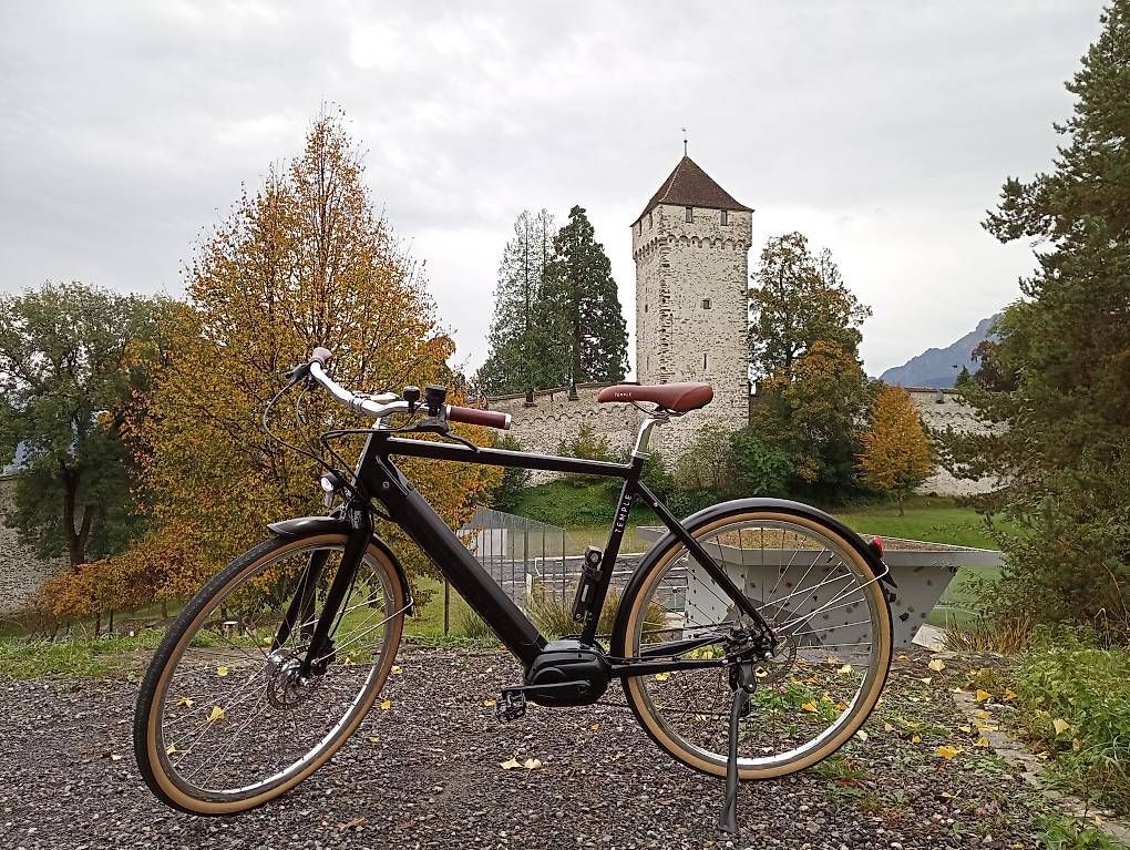 Vélos: Temple Electric Classic E-Bike – D'occasion à Meggen par sandra2710 2