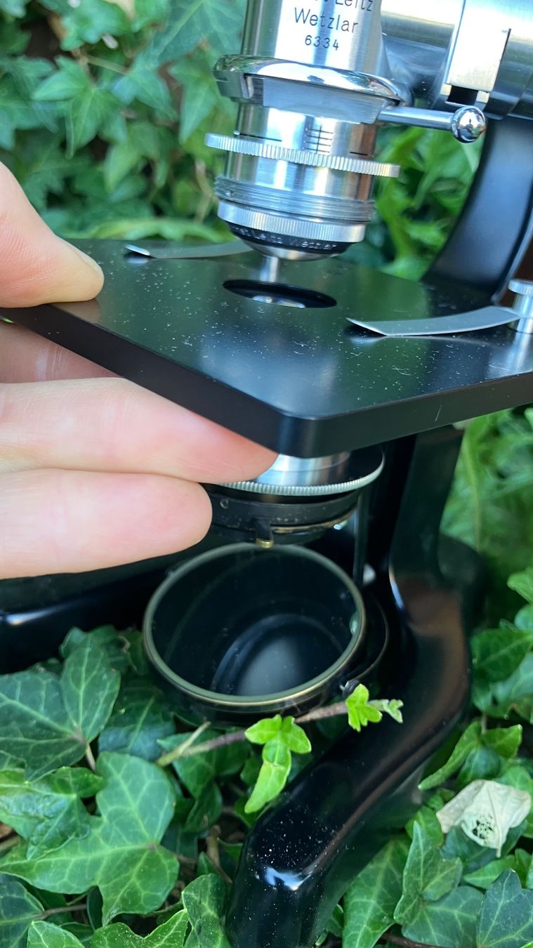 Ernst Leitz Wetzlar Zürich Microscope Mikroskop vintage (Gebraucht) in ...