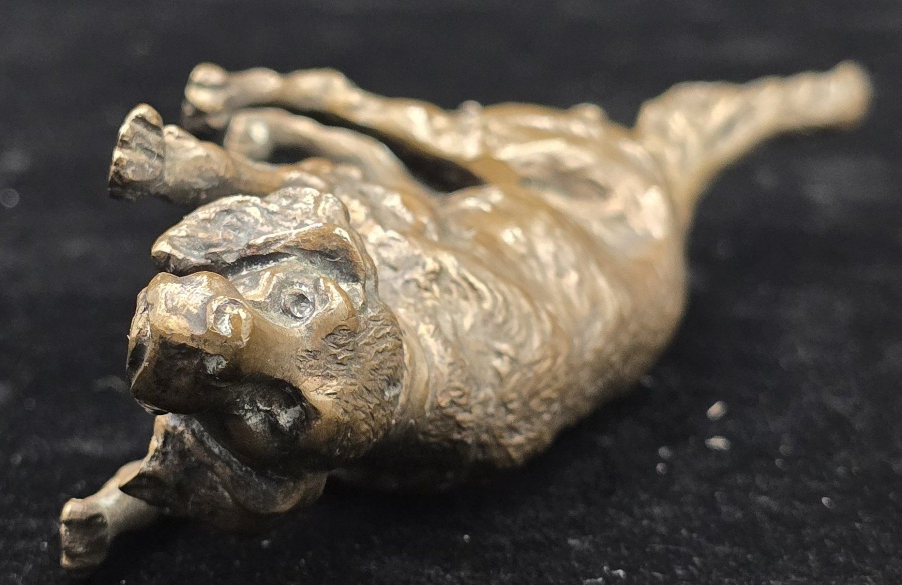 Sculture & Statue: Bronze Skulptur Hund – Usato da Rorschacherberg venduto da snOOpydOg11 6