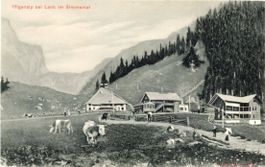 Iffigenalp  BE  ob Lenk (Simmental)   -  Kühe