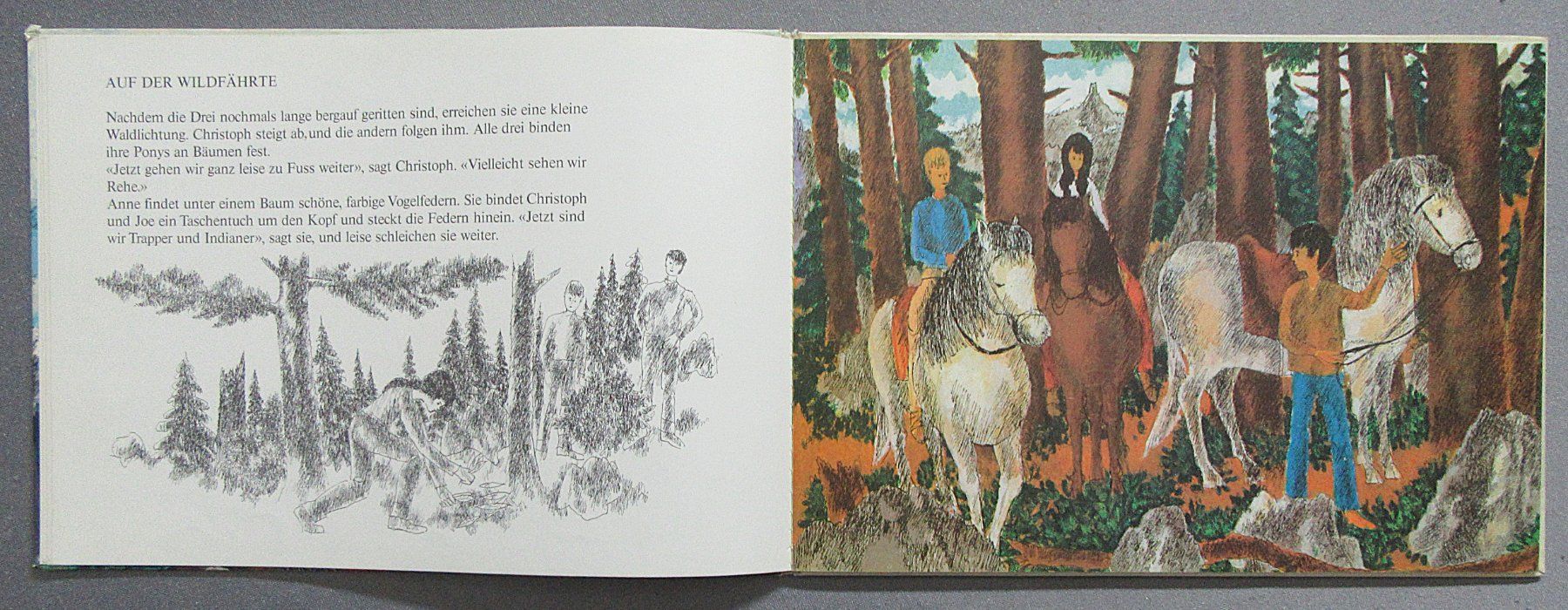 Libri: Pony-Ranch - Bilder von Paul Nussbaumer – Usato da Auenstein venduto da Padabimbim 2