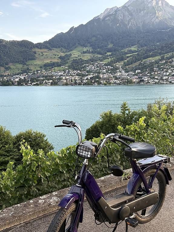 Piaggio Mofas: Piaggio Ciao Lila – Gebraucht aus Kastanienbaum von nvh_pmq9