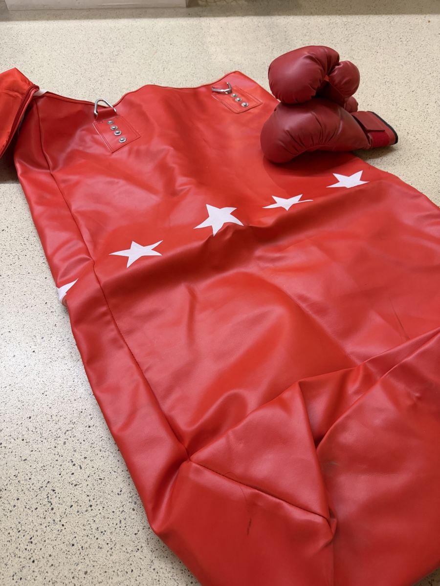 Sacchi da boxe: Neuer Boxsack und Boxhandschuhe – Nuovo (secondo la descrizione) da Basel venduto da Bahador 3