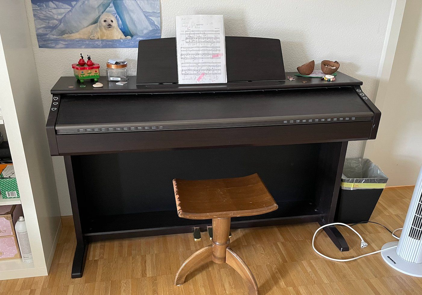 Casio Musikinstrumente: Klavier, E-Piano, Casio Celviano AP-45 – Gebraucht aus Wädenswil von Lealuli 1