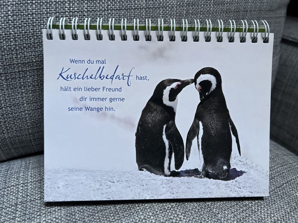 SprücheKalender Kaufen auf Ricardo