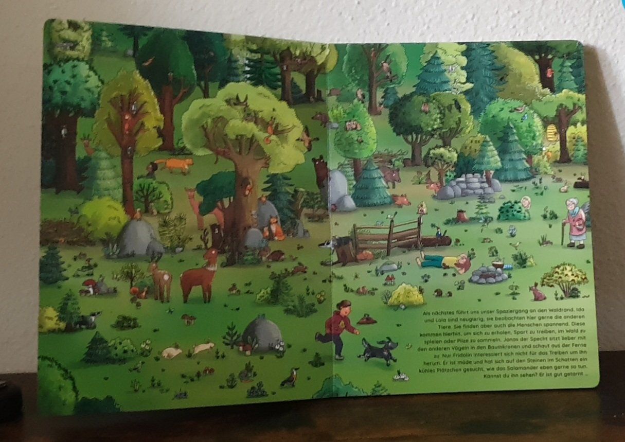 Libri: Mein Wimmelbuch Wald – Usato da Chur venduto da Vintage-Hunter 1