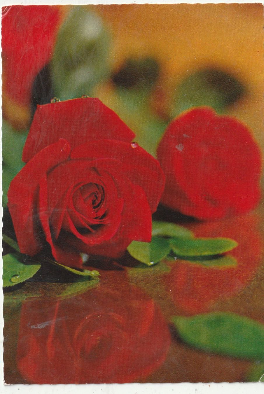 Ansichtskarten: Blumenkarte – Gebraucht aus Lumbrein von made02