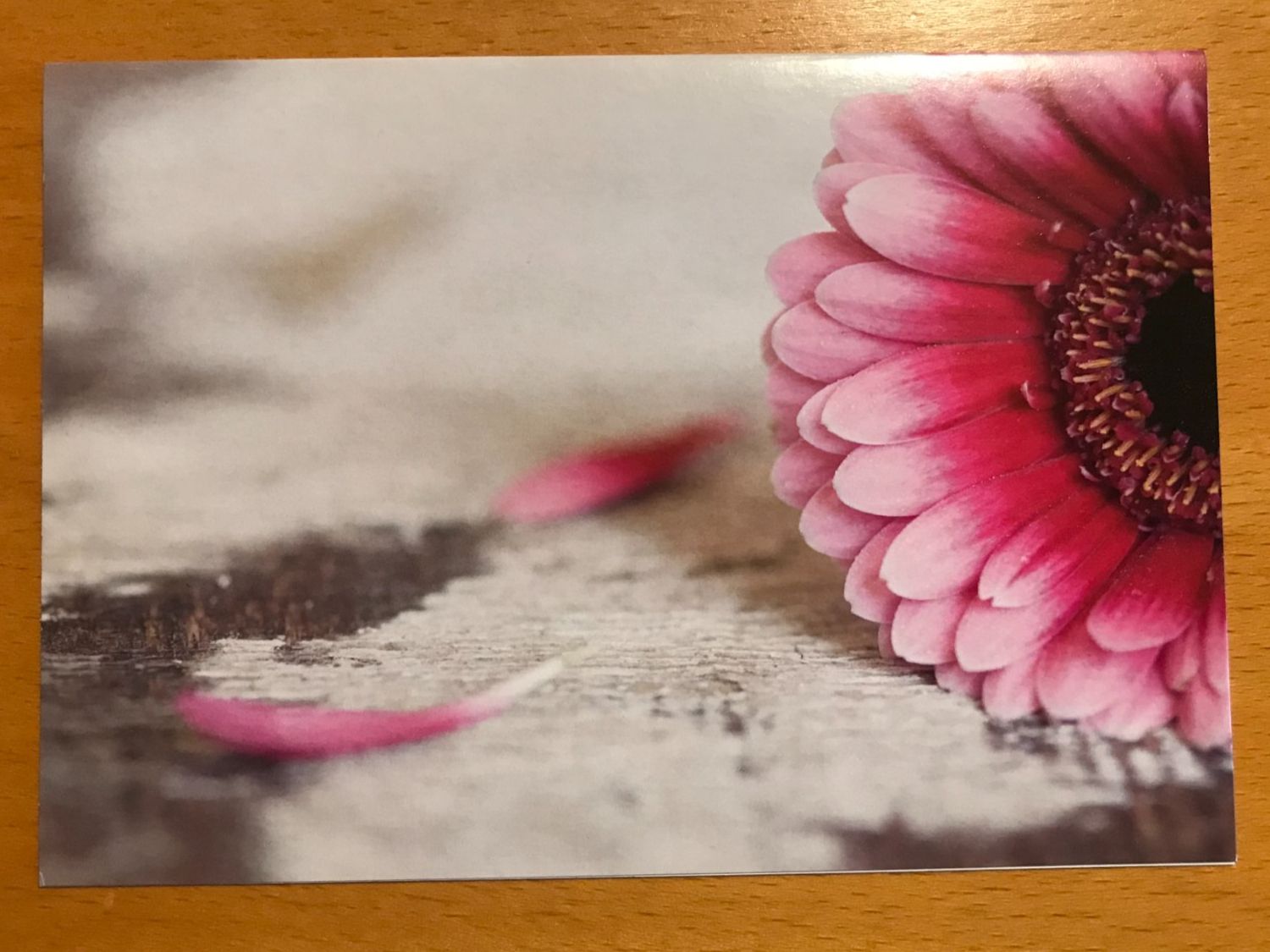 Cartoline postali: Grusskarte Blume – Usato da Luzern venduto da mey_s13