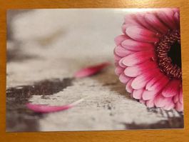 Grusskarte Blume