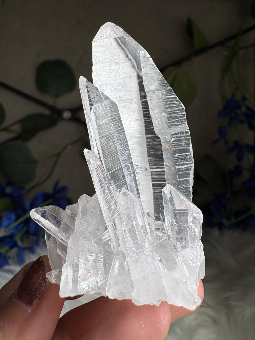 Minerali & Pietre curative: Kolumbianischer Lemurian-Quarz-Cluster – Nuovo (secondo la descrizione) da Neuheim venduto da m.hald 1