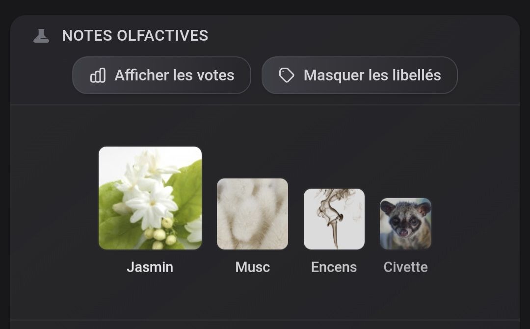 Serge Lutens Profumi & Eau de Toilette: Parfum Serge Lutens La Religieuse – Usato da Collonges venduto da cam_72xf 3