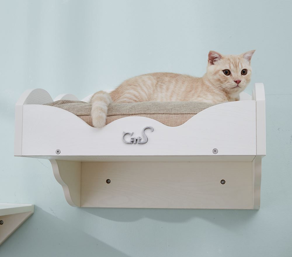 Liege- & Schlafplätze: CatS Design "Wandpark" Wandbett – Neu und originalverpackt aus Mönchengladbach von Zoopplier 4