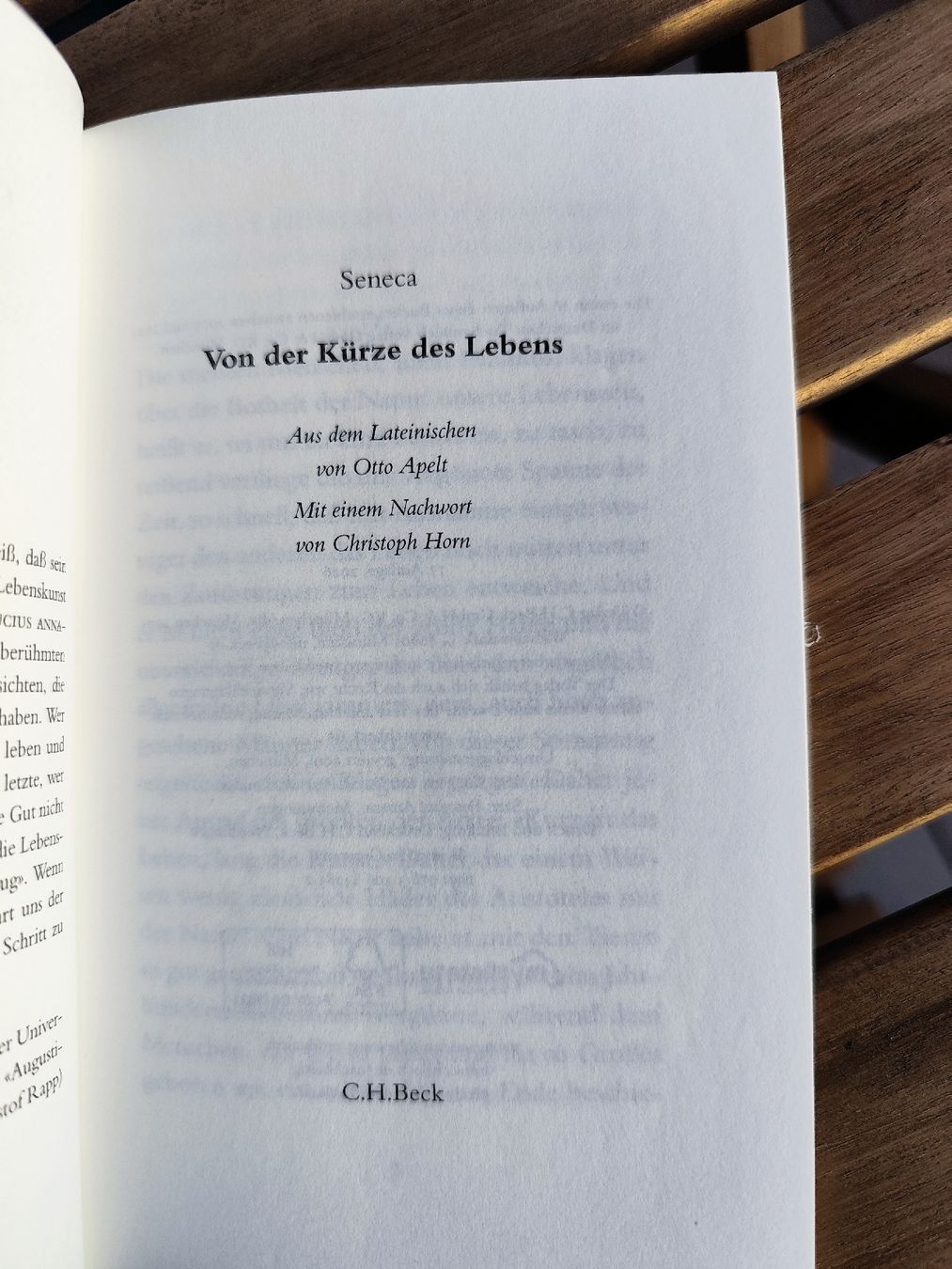 Libri: Seneca Von der Kürze des Lebens  – Usato da Mägenwil venduto da VintageGirly 6