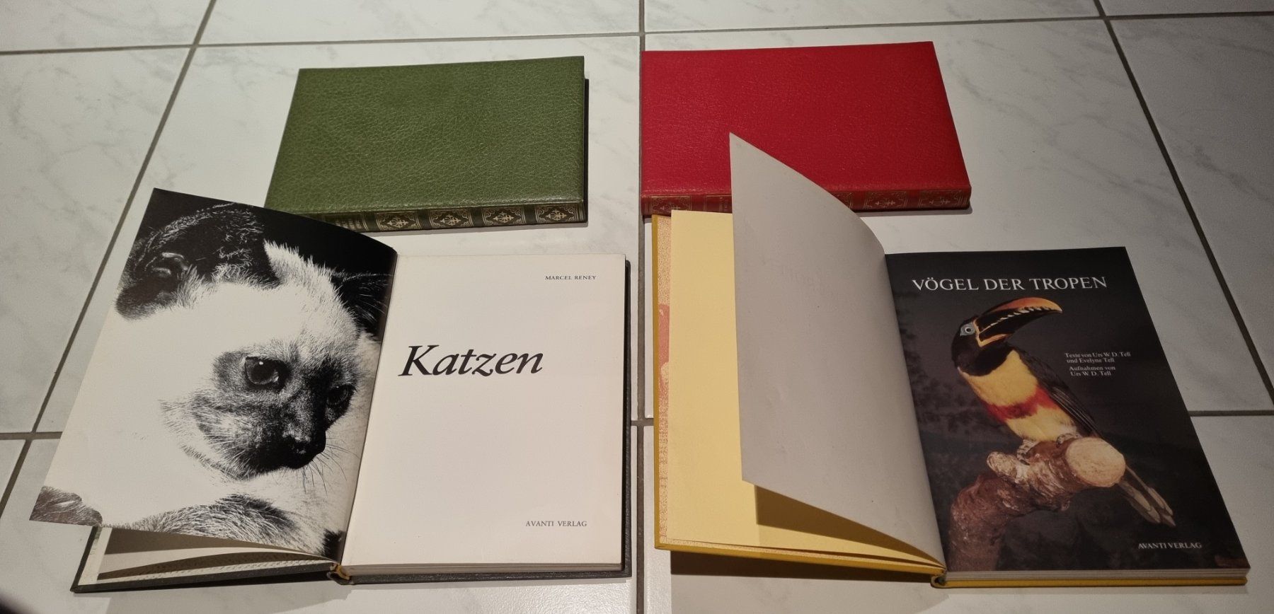 Libri: Schöne, ältere Bücher / Avanti Verlag – Usato da Nottwil venduto da Janny77 3