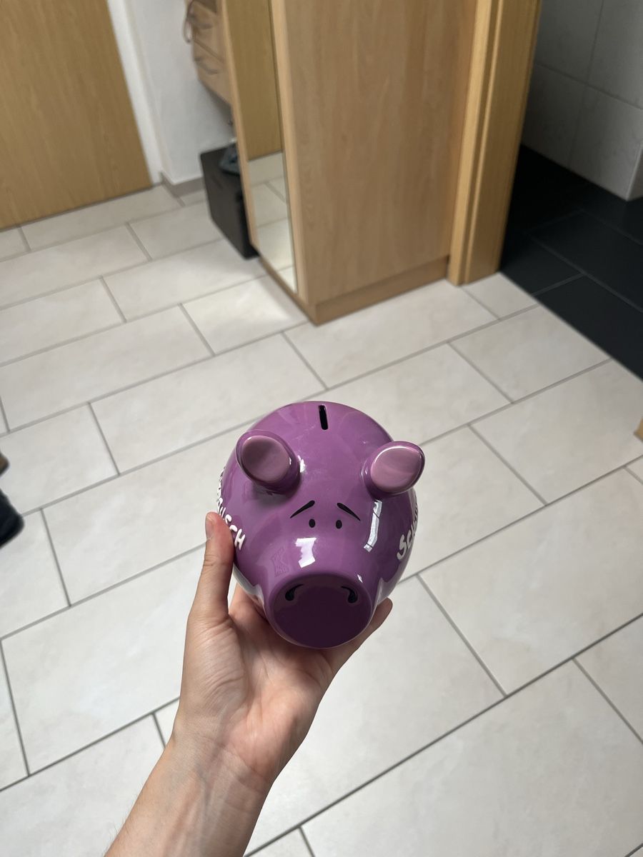 Salvadanai: Sparschwein – Nuovo (secondo la descrizione) da Frauenfeld venduto da ste_5h8b 1