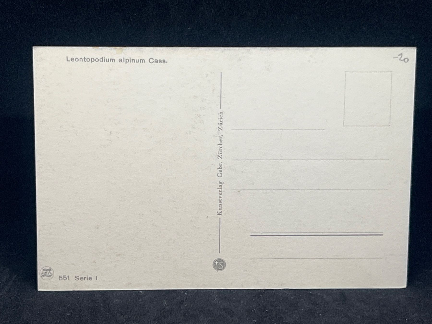 Ansichtskarten: Ansichtskarte: Leontopodium alpinum Cass. – Gebraucht aus Widnau von Brusi9 1