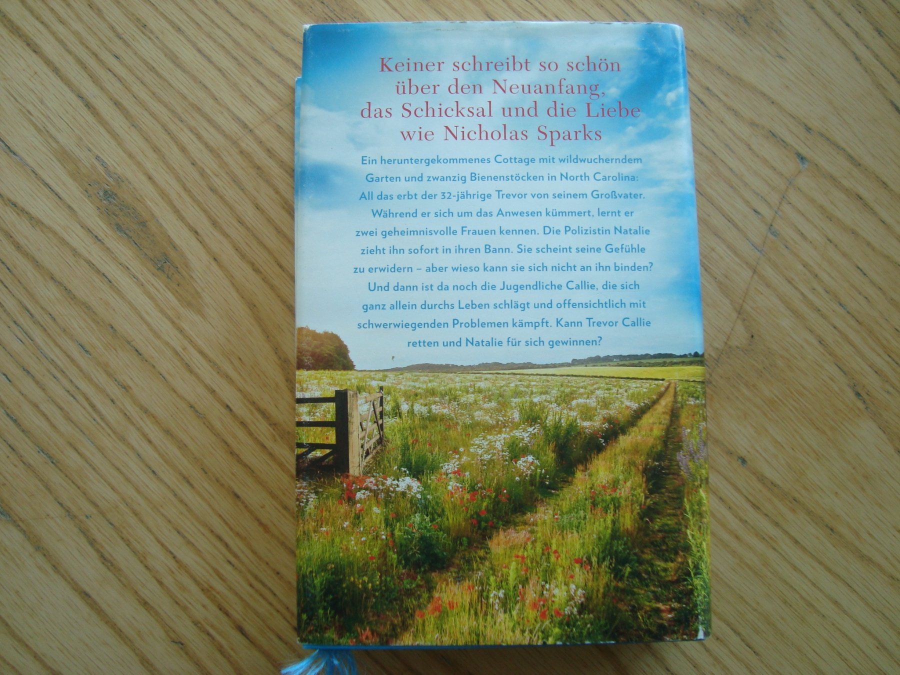 Libri: Nicholas Sparks (2 Bücher) – Usato da Aesch LU venduto da wysshan 2