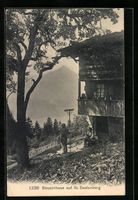 St. Beatenberg, Bauernhaus mit Blick ins