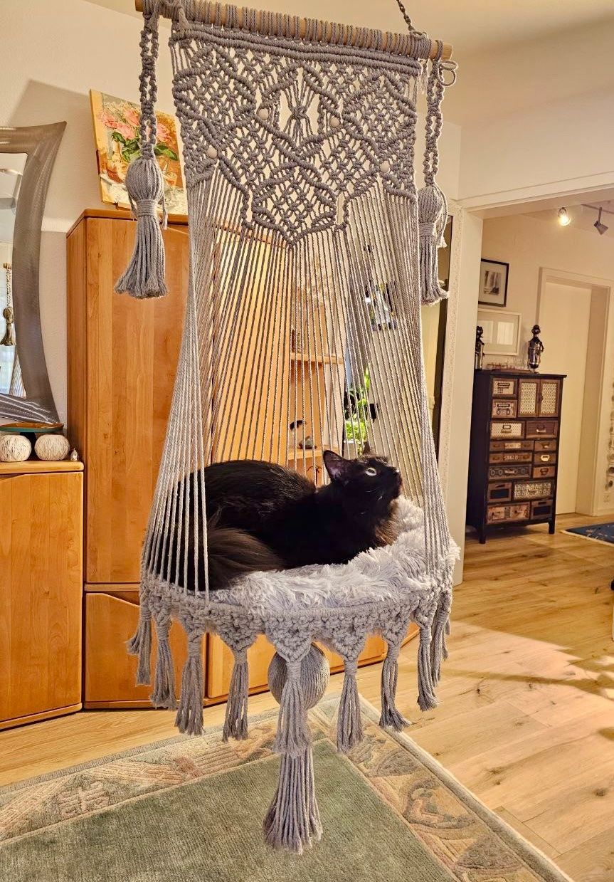 Hängematten: Hängematte für Katze – Neu und originalverpackt aus Adliswil von Ajoure_Atelier