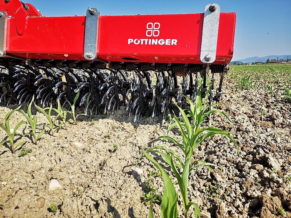 Tutte le macchine: Pöttinger Rollhacke Rotocare V6600 – Usato da Triengen venduto da wer_ly67 1