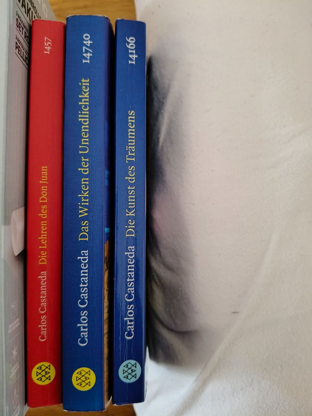 Bücher: 3 Bücher von Carlos Castaneda – Gebraucht aus St. Gallen von Ringa72 1
